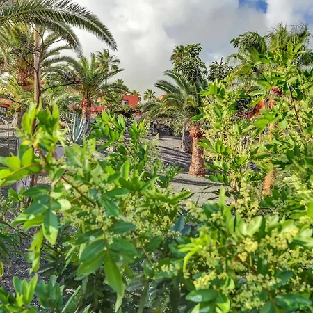 Διαμέρισμα Oasis Royal *