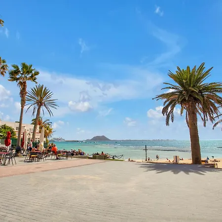 Oasis Royal Κοραλέχο