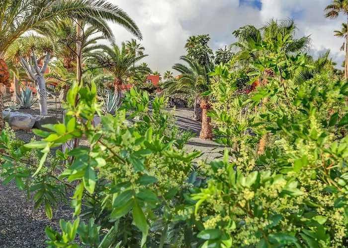 Apartamento Oasis Royal *