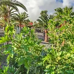 Apartmán Oasis Royal *