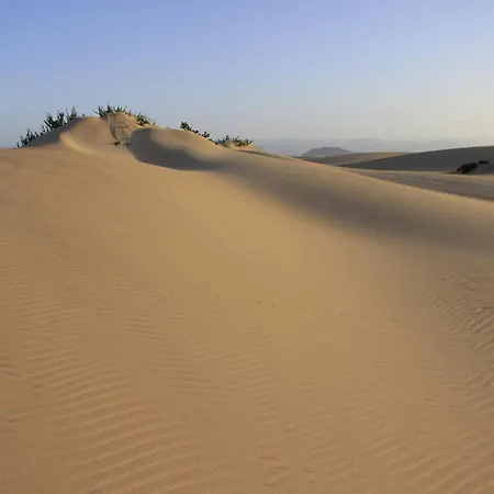 Oasis Royal Apartment *