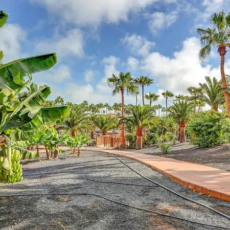 Oasis Royal Appartement