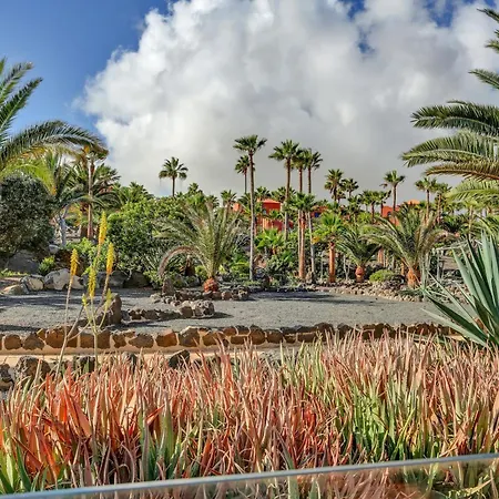 公寓 Oasis Royal 科拉雷侯